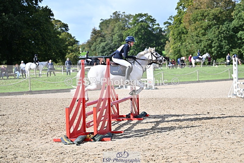 251005A-140509-04277 - Cls 09 Nov 80-85cm