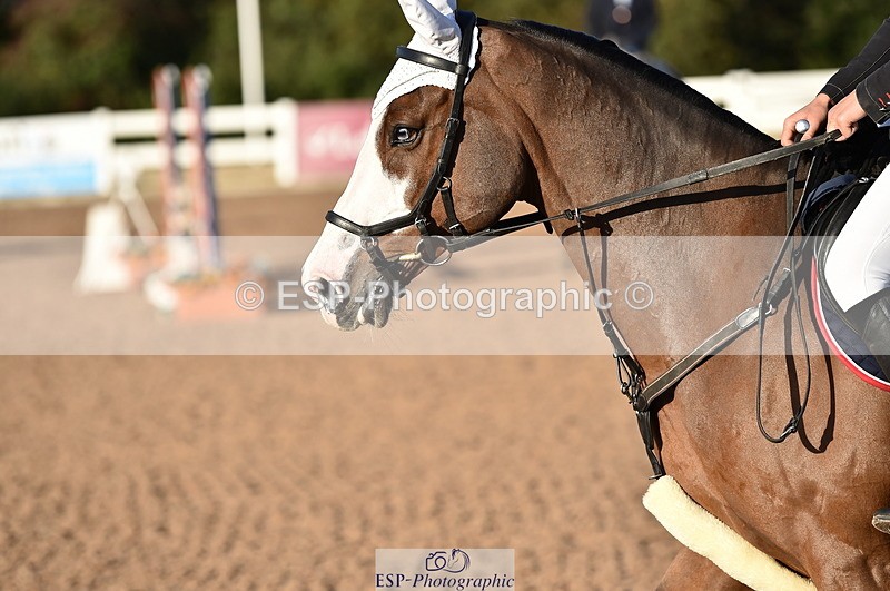 231015A-092520-06703 - Cls 22 British Novice & 90cm Open