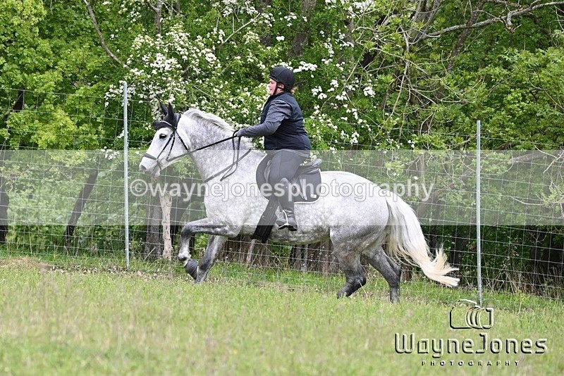 WJ6_1665 - Edited Examples