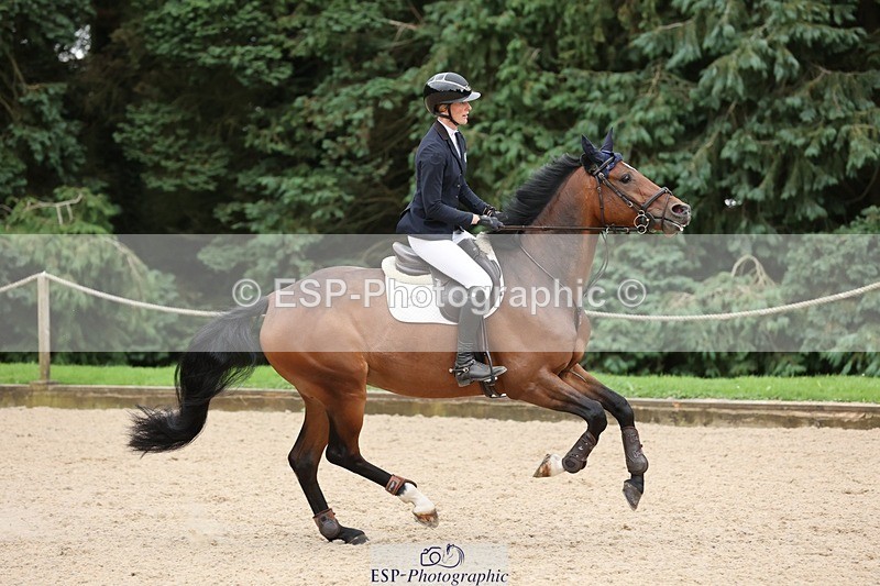 240817-153836-02722 - 06A Snr Fox 1.20m open