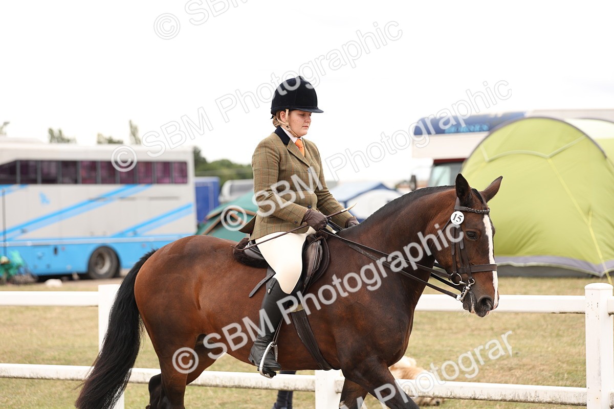 SBM_19482 - Class 215 - Ridden Show cob