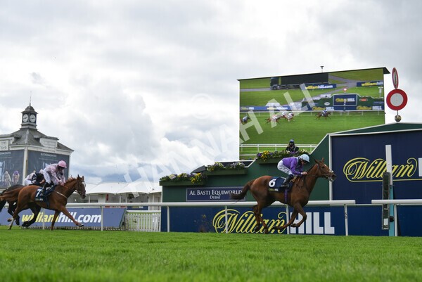 yr22052021r2-41 - Race 2 2.40pm William Hill Brontë Cup
