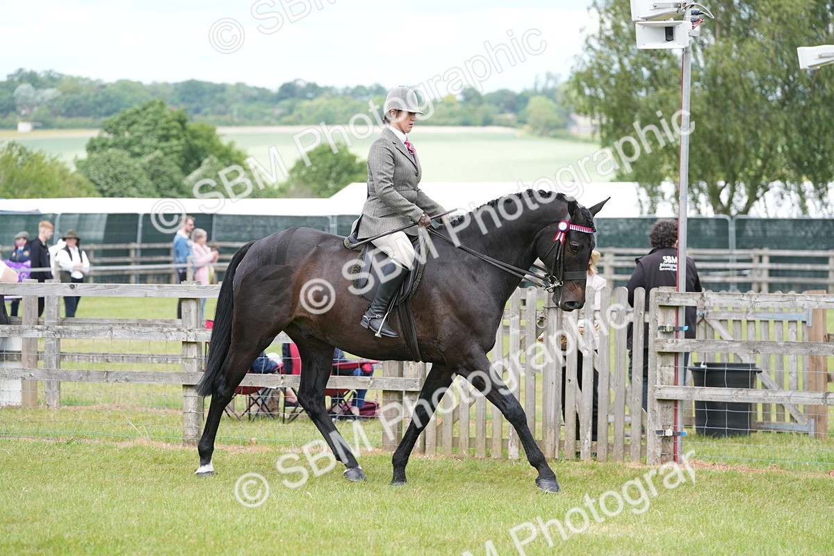 SBM_16152 - Class 105-106 - RIHS Riding Horses