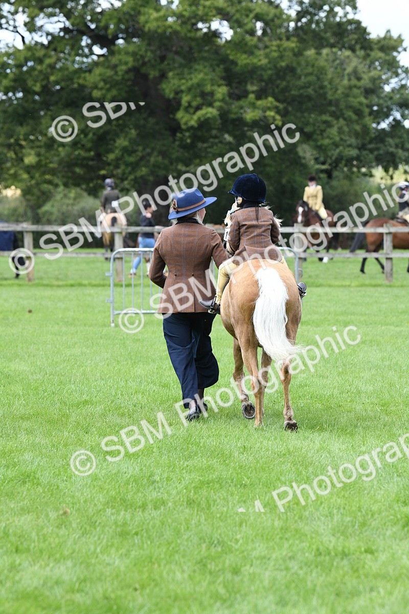 SBM_42553 - S20 - Lead Rein Mountain & Moorland Pony