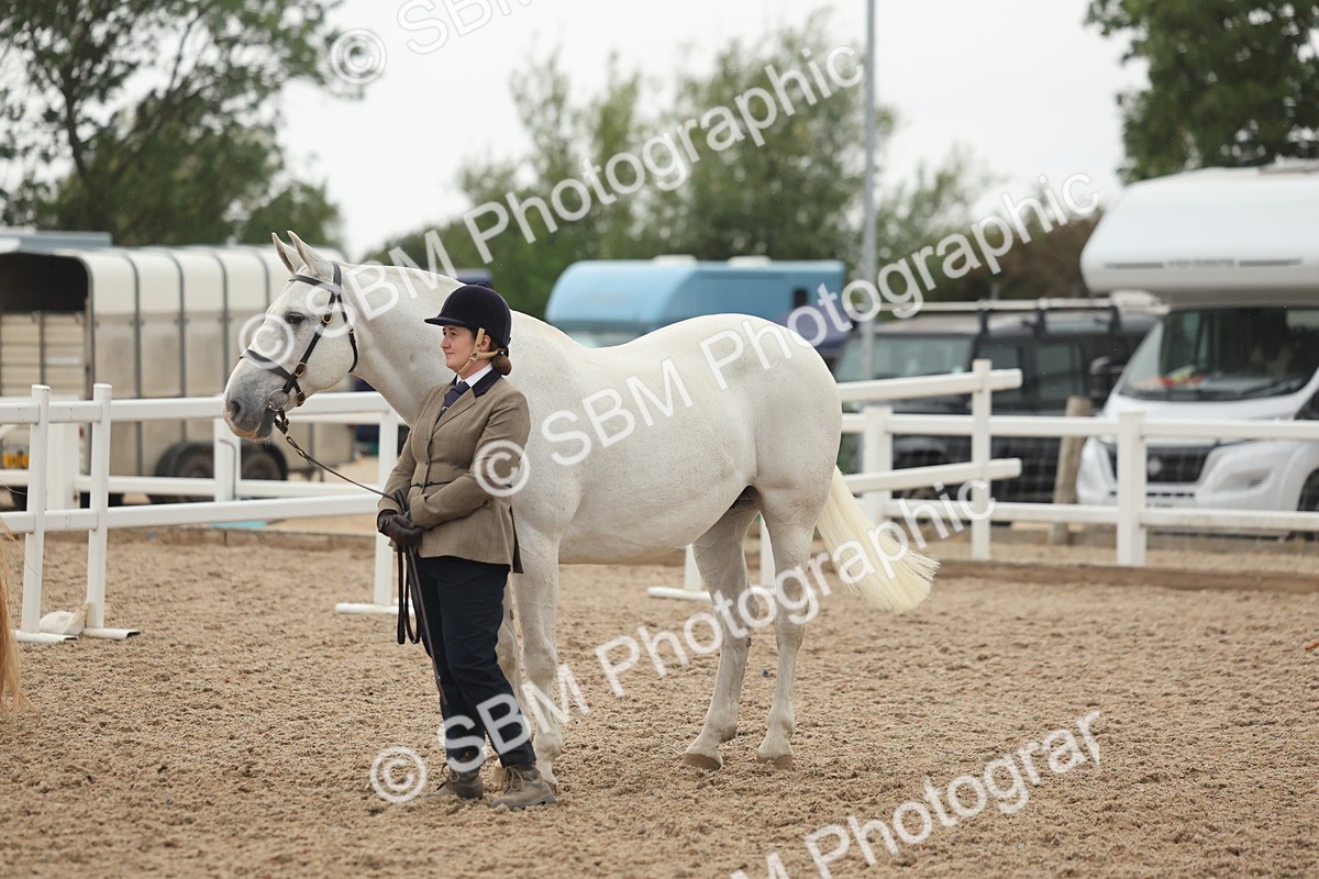 SBM_19426 - Class 317 - IH Pure Bred Horse-Pony