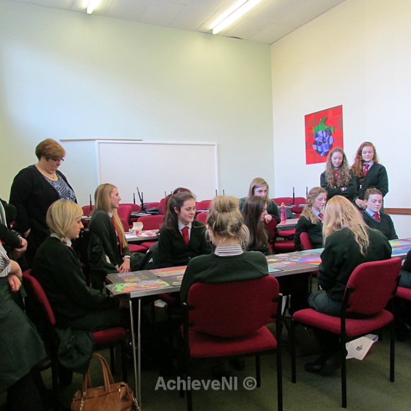  - Peer Mentoring 2014