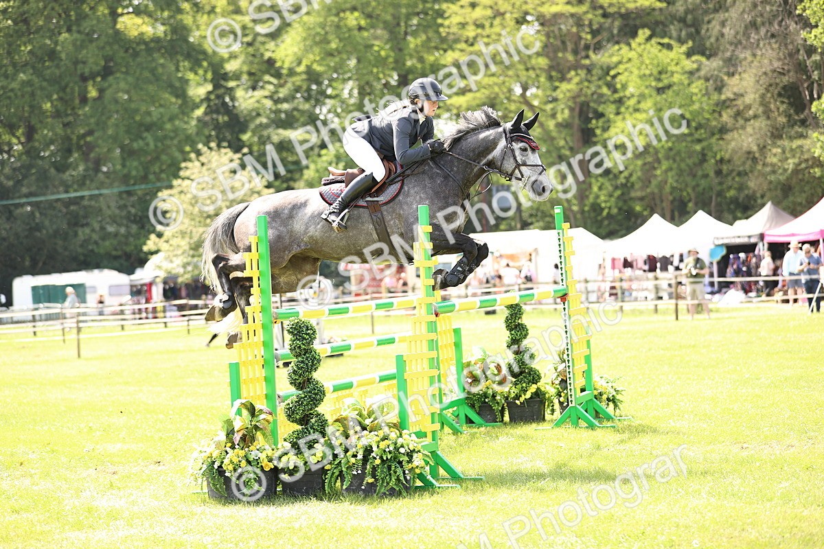 SBM_03231 - Class 201 - British Horse Feedds Speedi Beet HOYS Grade C
