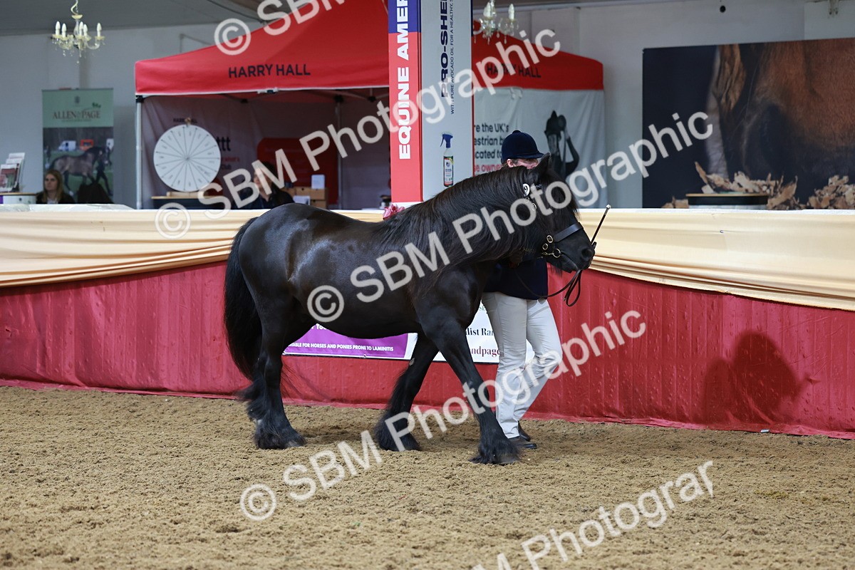 SBM_17315 - Class 951 - M&M IH Supreme Final