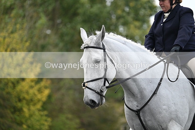 WJ7_2916 - Time 09:00 to 09:35