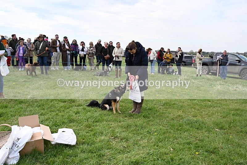 WJ6_8592 - Class 6 Best Rescue