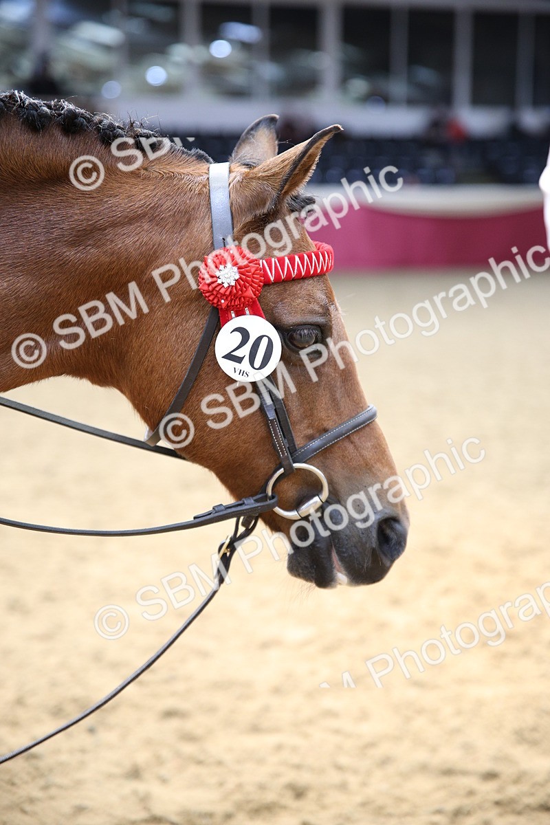 SBM_24237 - Class 905 - Supreme Final - Ridden Veteran