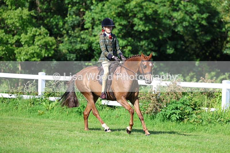 3E7A5974 - Class 27: Novice Working Hunter Pony
