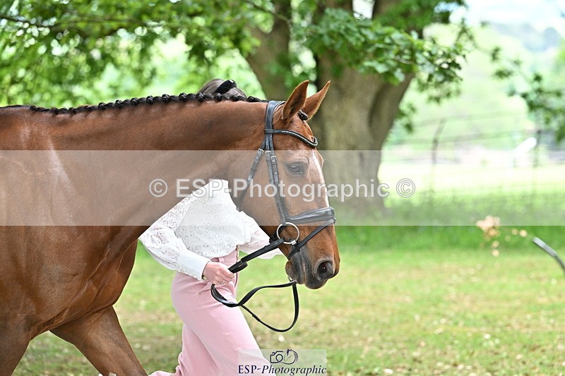 250521A-144645-00230 - A-056-Ivy.Fisher-BALIEF.DE.REVE