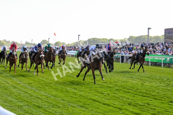 160525-Race 5-The Man-7019 - Race 5 4.15pm Irish Thoroughbred Marketing Handicap