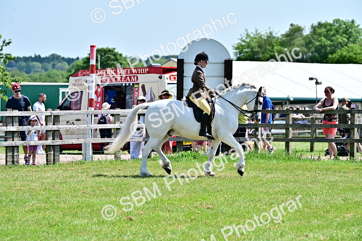 SBM_15346 - Class 95-97 - BSPS LHS Performance Ponies