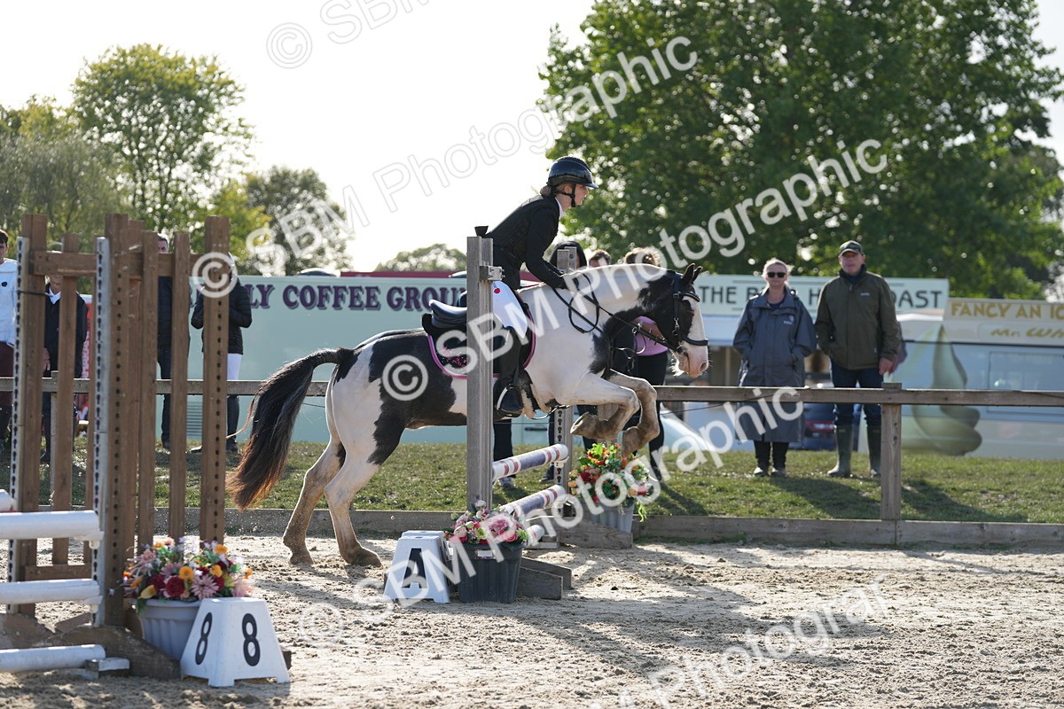 SBM_50925 - J8 - Junior Pony 65cm Championship