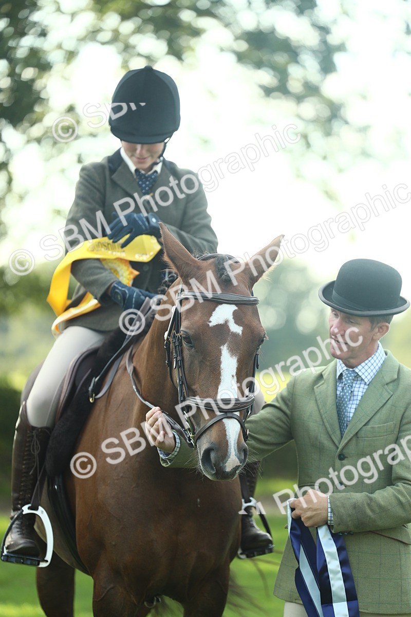 SBM_52289 - Working Hunter Supreme Championship