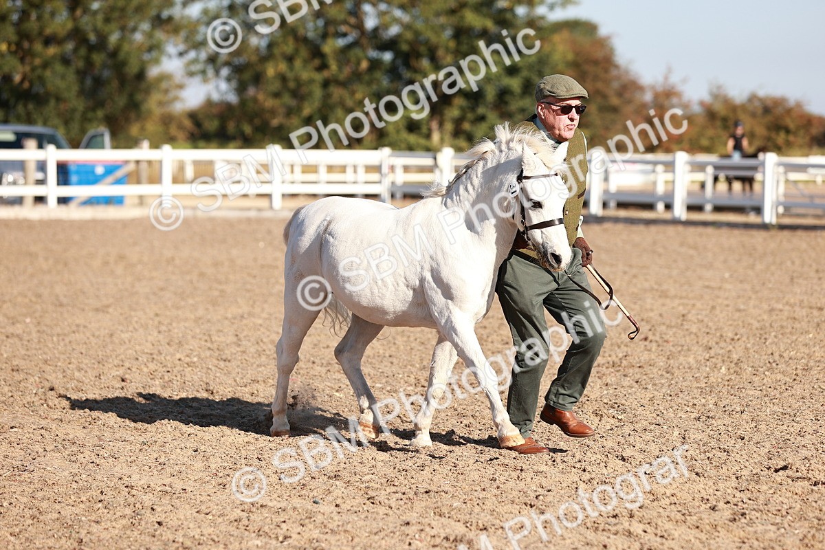 SBM_11432 - Class 402 - IH  Veteran pony