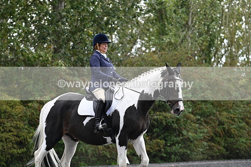 WJ7_3522 - Time 09:54 to 10:54