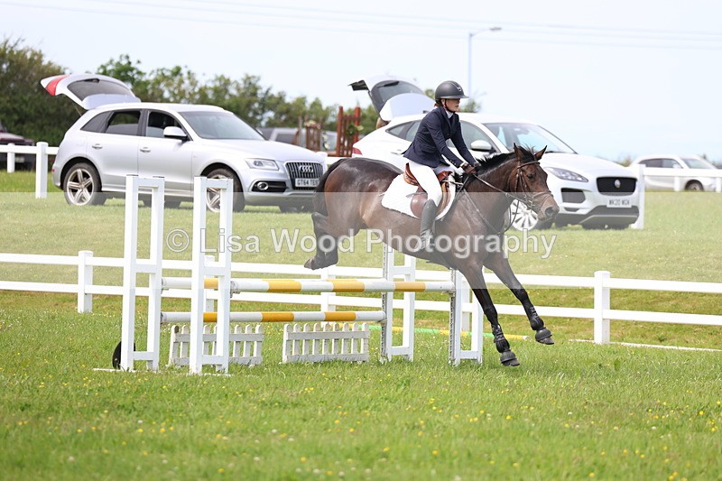 3E7A1583 - Class 13: Senior British Novice/90cm open