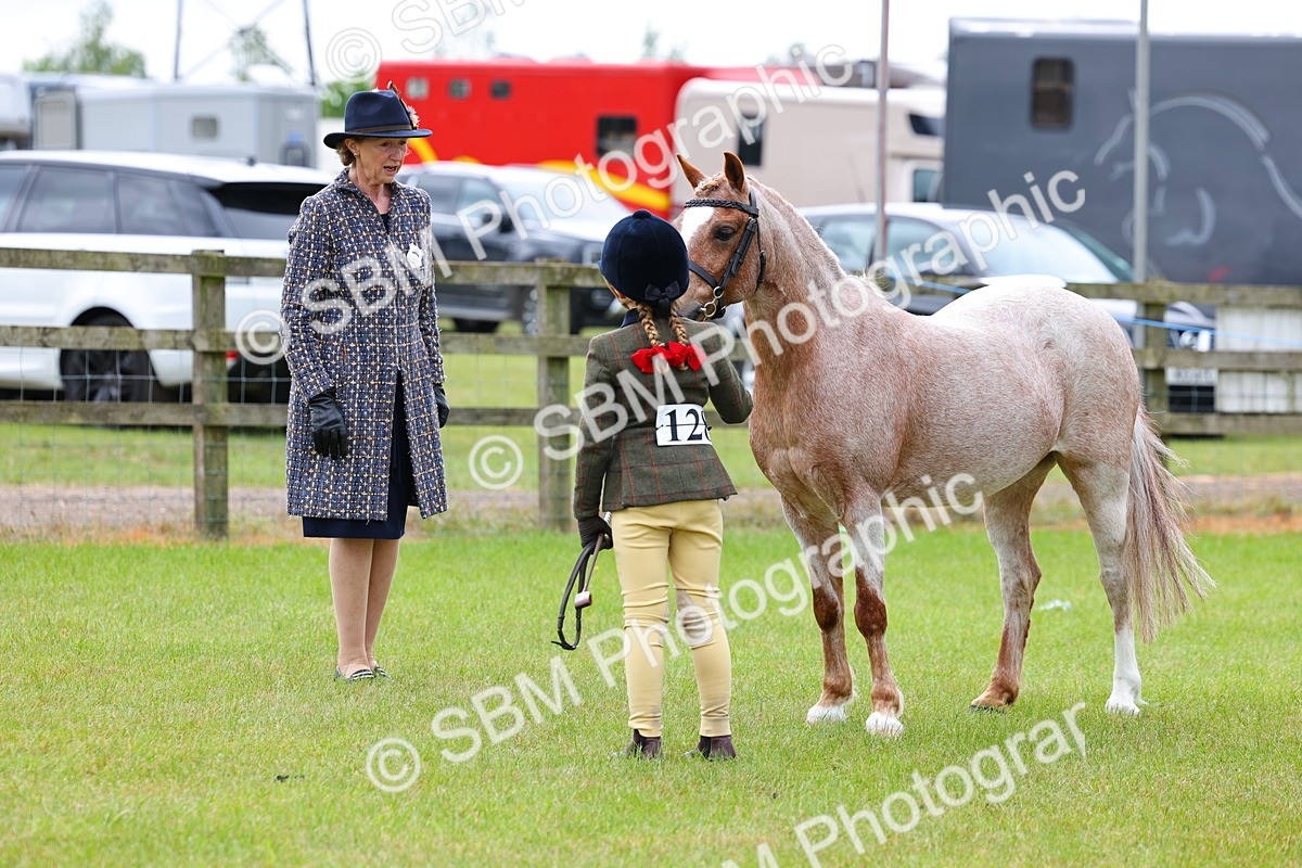 SBM_09435 - Class 44-45 - LIHS BSPS Open Nursery and Cradle Stakes