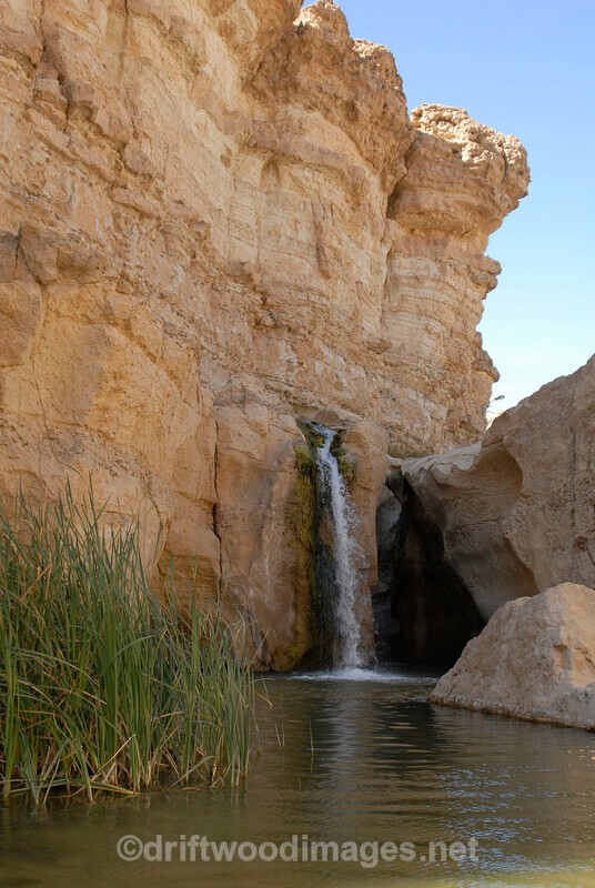 Tamerza waterfall and oasis - Tunisia