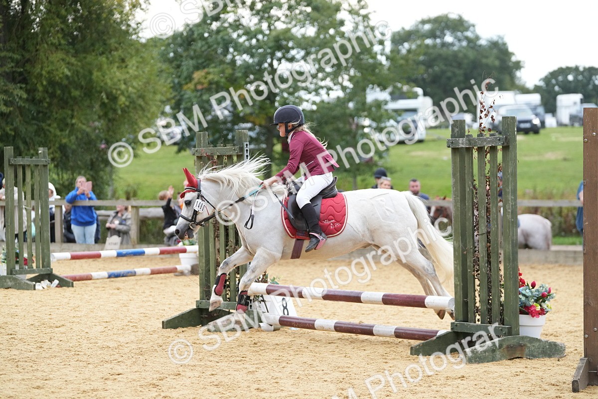 SBM_74611 - J4 - Mini Tour Junior Pony 45cm Championship