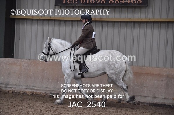 JAC_2540 - CLASS 3 Intermediate Working Hunter
