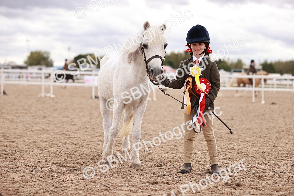 SBM_18447 - Class 419 - Best Maine and Tail - Jnr