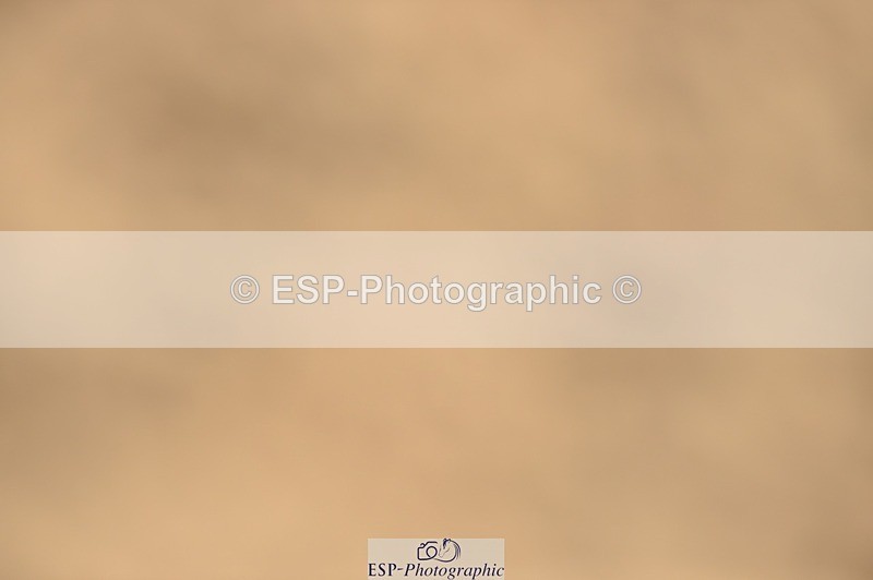 250622-095156-12863 - Quest Cls 19-24 Intro Tests