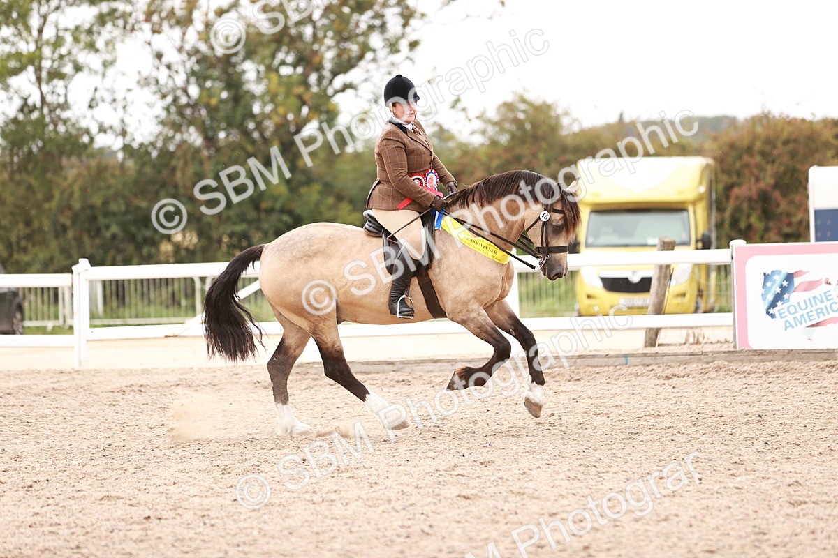 SBM_19095 - Class 422 - Ridden M&M