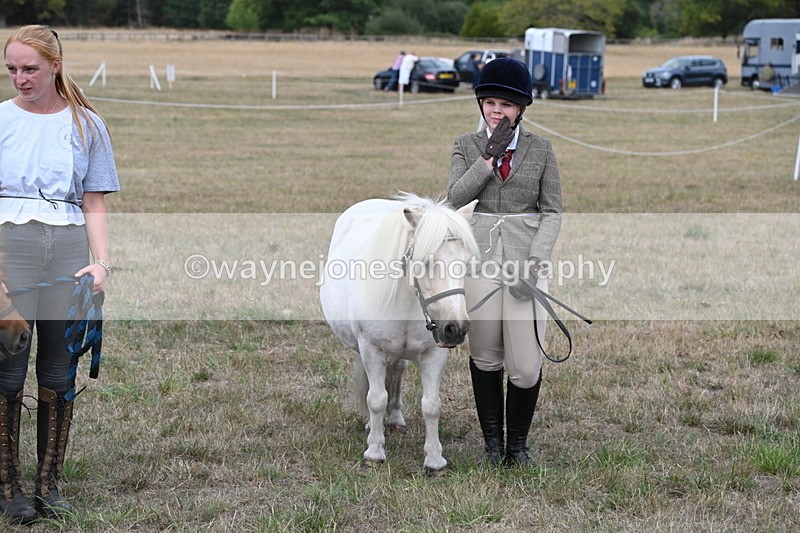 WJ6_7106 - Class 21 Shetland & Mini Horses