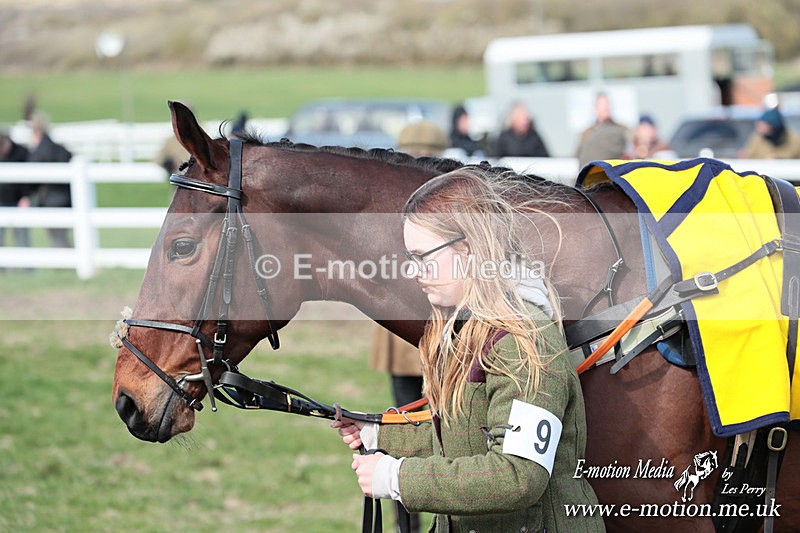 PtP 230324 223 - Tedworth Hunt PtP Larkhill Raccourse 23rd March 2024