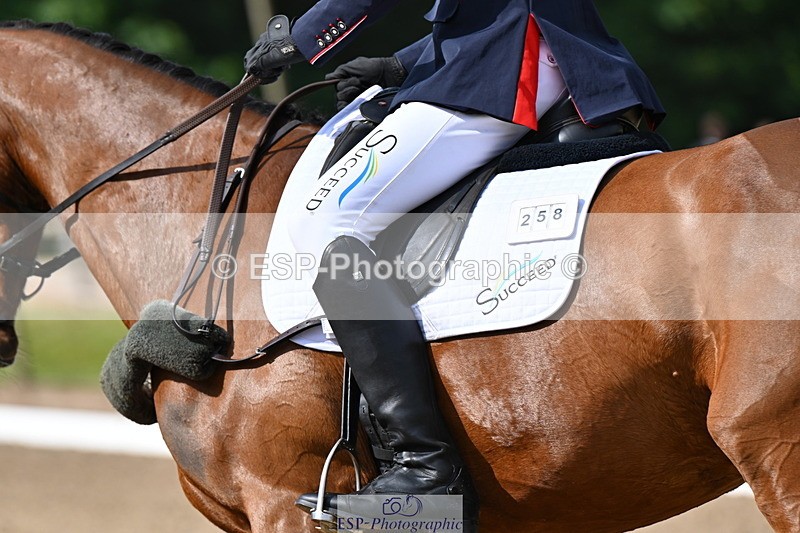 250523A-093946-05299 - C-258-Bill.Levett-ITALIAN.HARLEQUIN.NJ