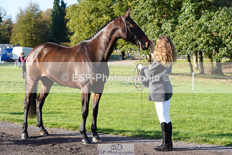 241026-101008-11661 - 055-Ellie.Fredericks-UPPER.CLASS.BRIT