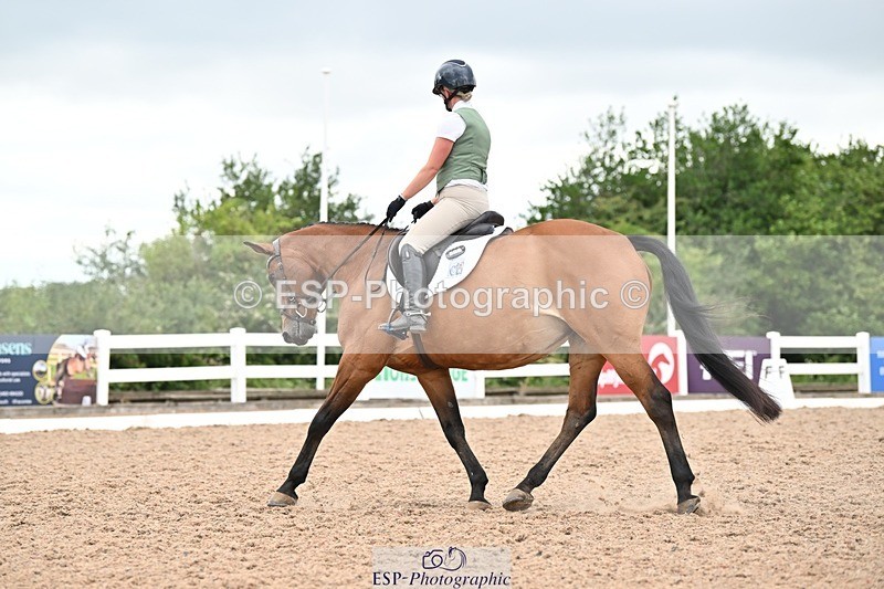 250705-175536-04339 - N2 Section BDNOV2 16.29 to 17.46