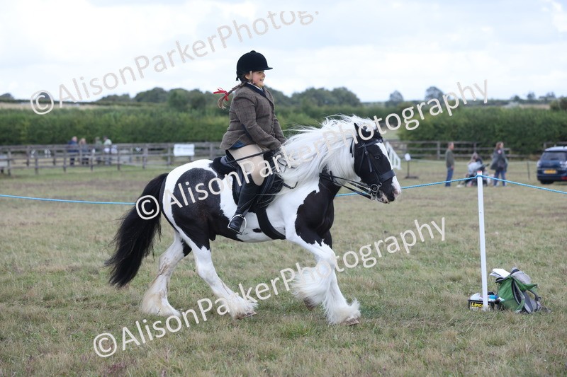 20250831-4237 - Class 20 - Ridden Coloured