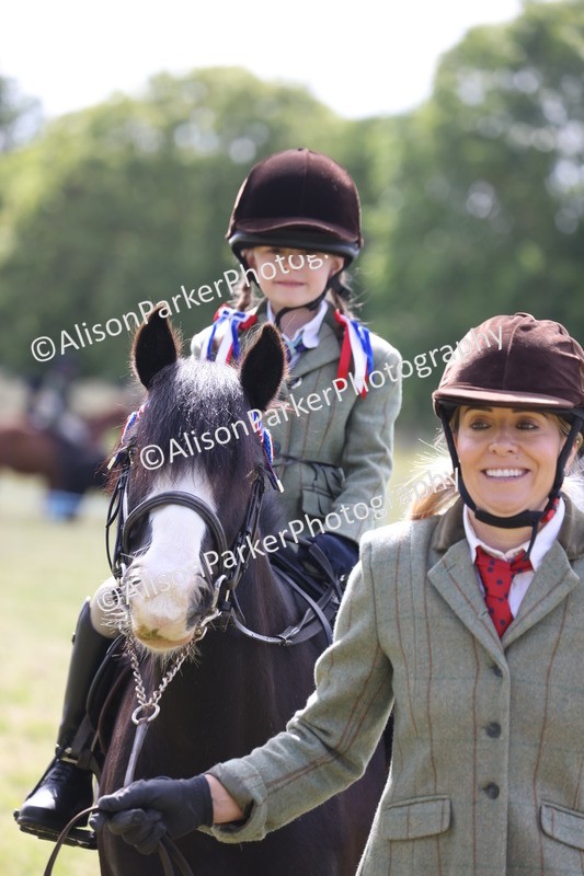 20260614-0608 - Class 20 - Beginners Working Hunter Pony