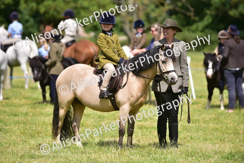 20260614-1239 - Class 11a - Lead Rein Pony (Unplaited)