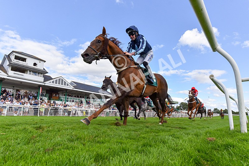 060824-Race 6-Golden Prosperity-2-2 - Race 6