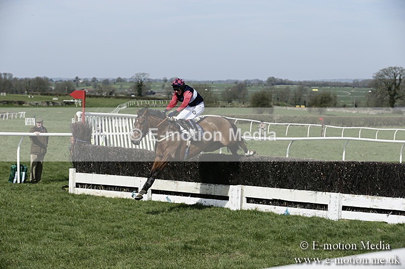 PtP 260317 8 - Mendip Farmers Point-to-Point Ston Easton 26/03/17