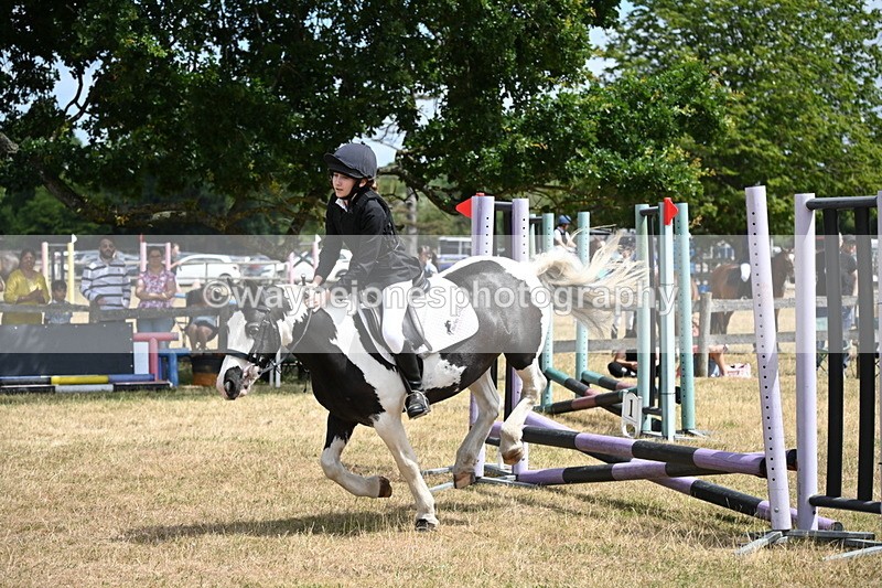 WJ6_5376 - Class 12 Minimus Jumping 45cm