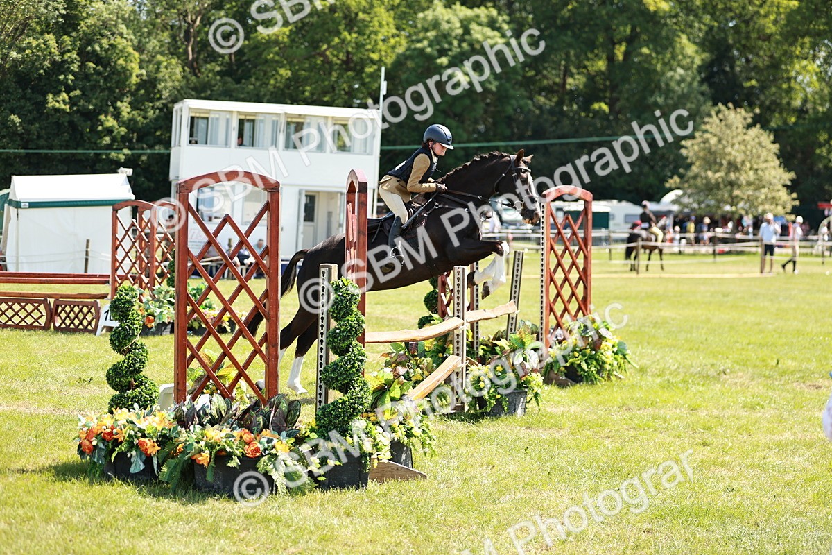 SBM_17600 - Class 112-113 - BSPS LIHS Working Sports Pony