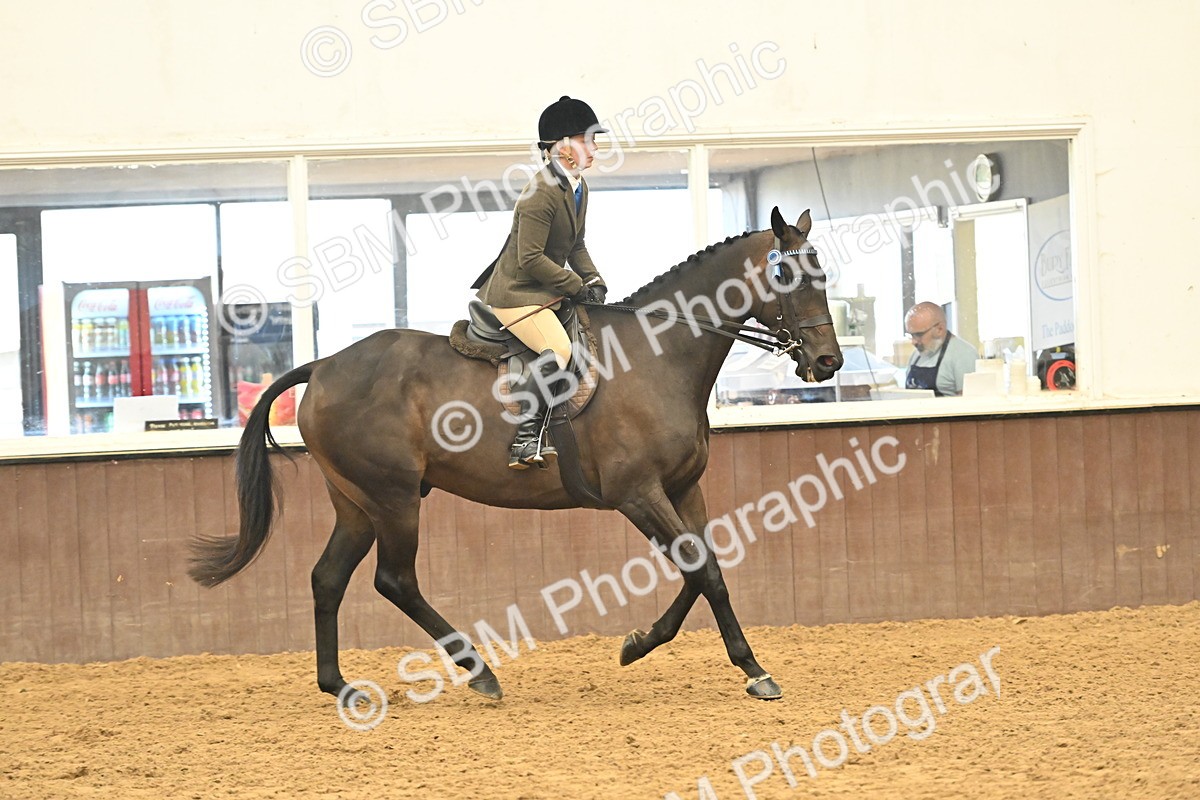 SBM_001987 - Class 24 - BSHA Ridden Racehorse to Show Horse
