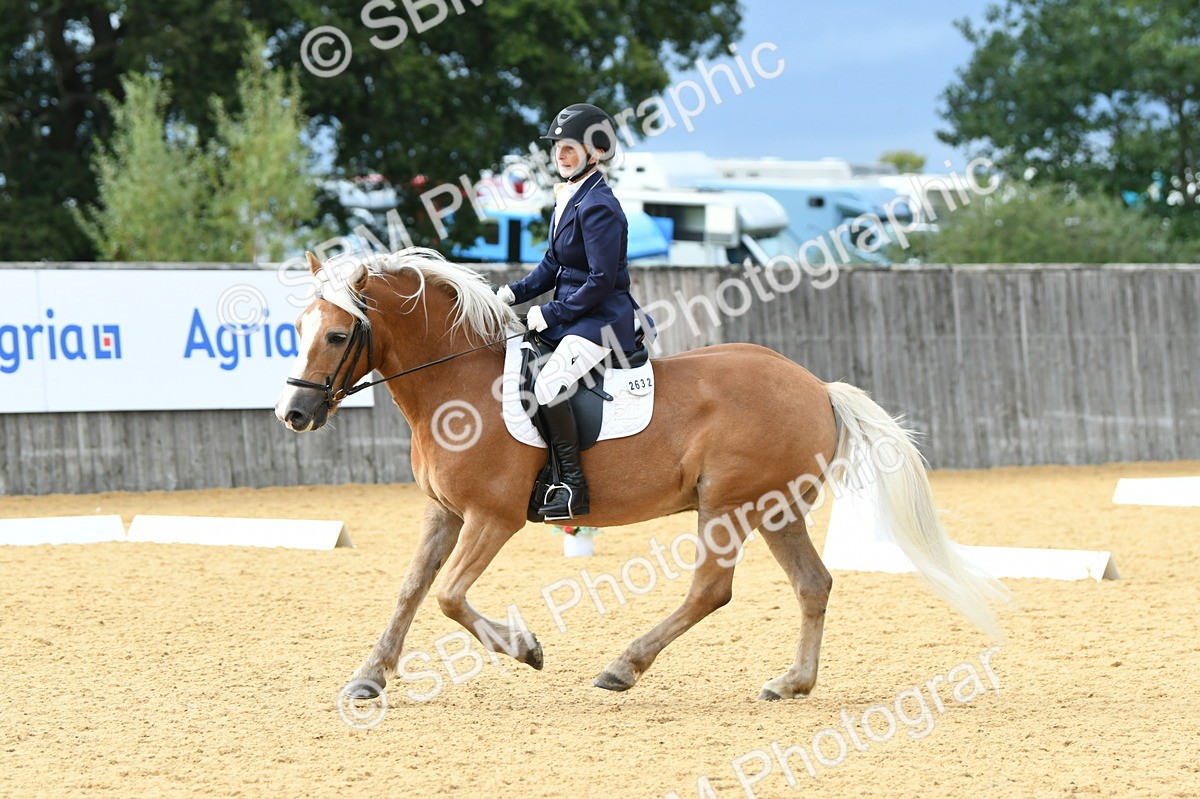 SBM_10922 - D28 Elementary Taster Elementary 42