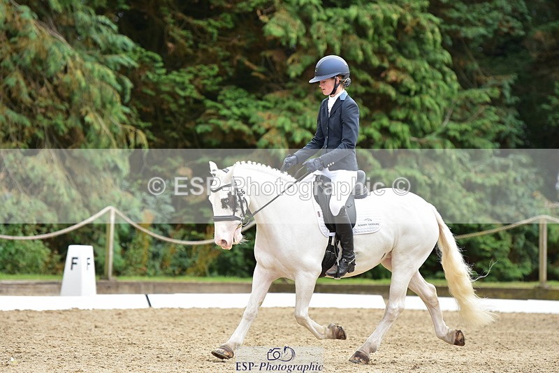 250719A-143844-06325 - 166-Ruby.Vincent-Silver.lining