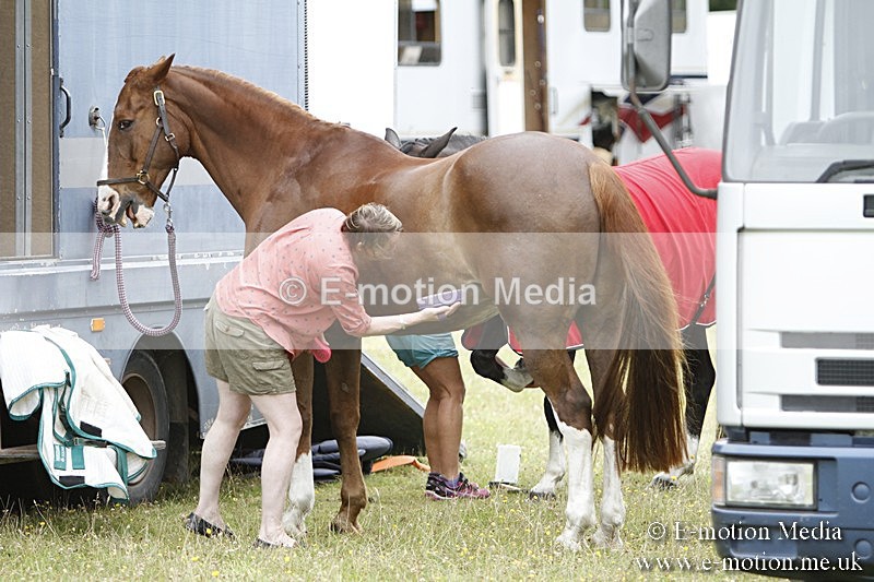 BVR160717-1277 - Caught on Camera 16/07/17