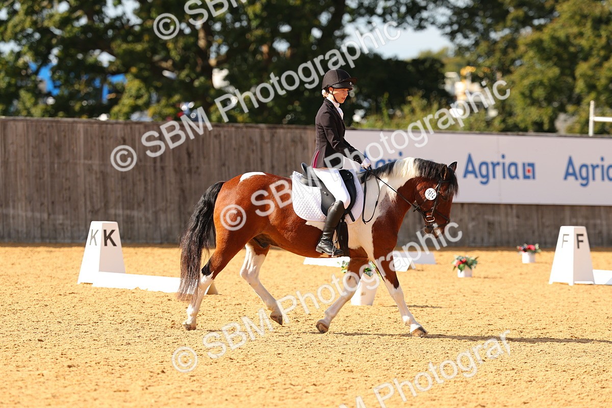 SBM_48415 - D6 - Small Tour Championship - Intro C