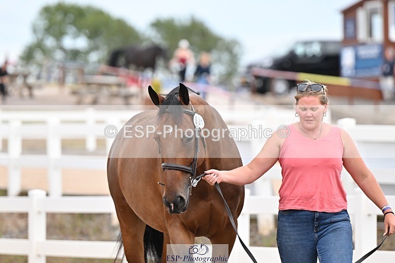 250716-160954-02473 - Trot Up 3.30 to 4.30