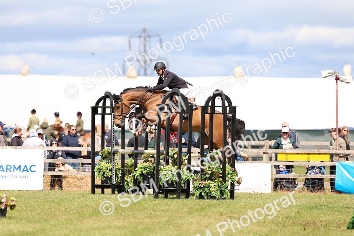 SBM_13621 - Class 206 - Senior Newcomers - 1.10m Open